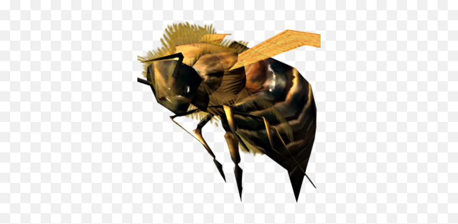 Bee Elder Scrolls Fandom Emoji,Type A Bee Emoticon Twitter
