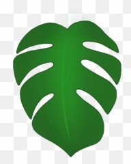 Episode 119 How To Give Your Houseplants A Health Check - Monstera Emoji,Leaf Emoji