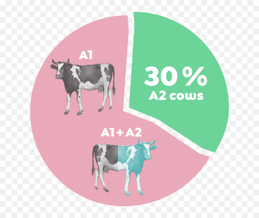 Holle - Organic A2 Infant Formula With Dha Stage 1 800g Emoji,National Geographic Science -do Animals Have Emotions?