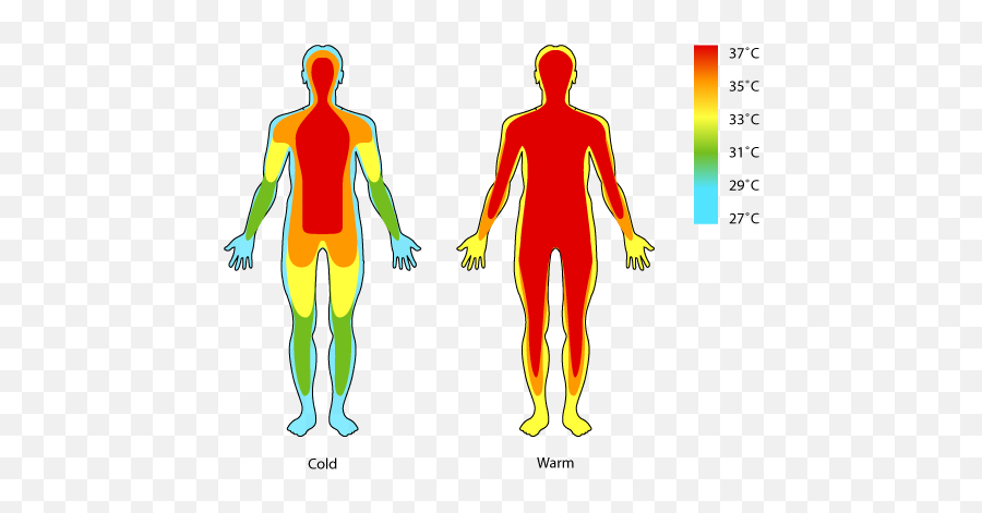 Human Body Temperature - Temperature Of Body Part Emoji,Emotions In The Body Map