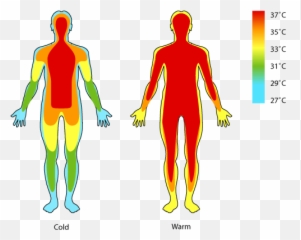 Human Body Temperature - Temperature Of Body Part Emoji,Emotions In The Body Map