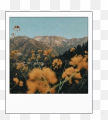 Discover Trending Yellowaesthetics Stickers Picsart - Aesthetic Wallpapers Iphone Home Screen Emoji,Emoji Nal Backpack