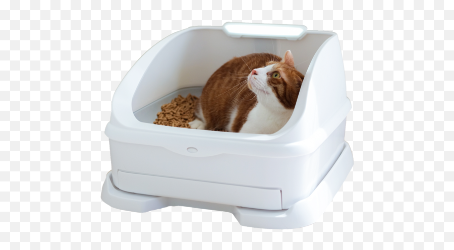 Cat Health Care With A Smart Litter Box Emoji,Cat Using Litter Box Emoticon
