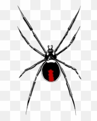 Why Play A Drow - Southern Black Widow Emoji,Drow Emotions