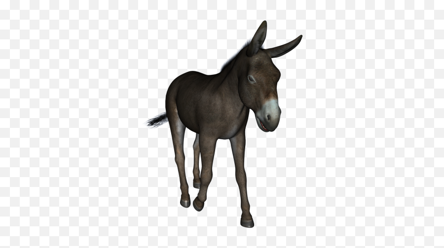 Free Photos Stubborn Growth Search - Esel Png Emoji,Donkey Emoticon