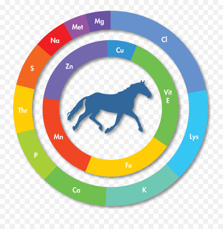 Mad Barn - Performance Horse Supplements U0026 Equine Nutrition Emoji,Apple Emotion Support Horse