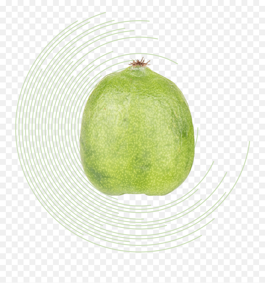 Mini Kiwis - Sermac Emoji,Green Food Emoji