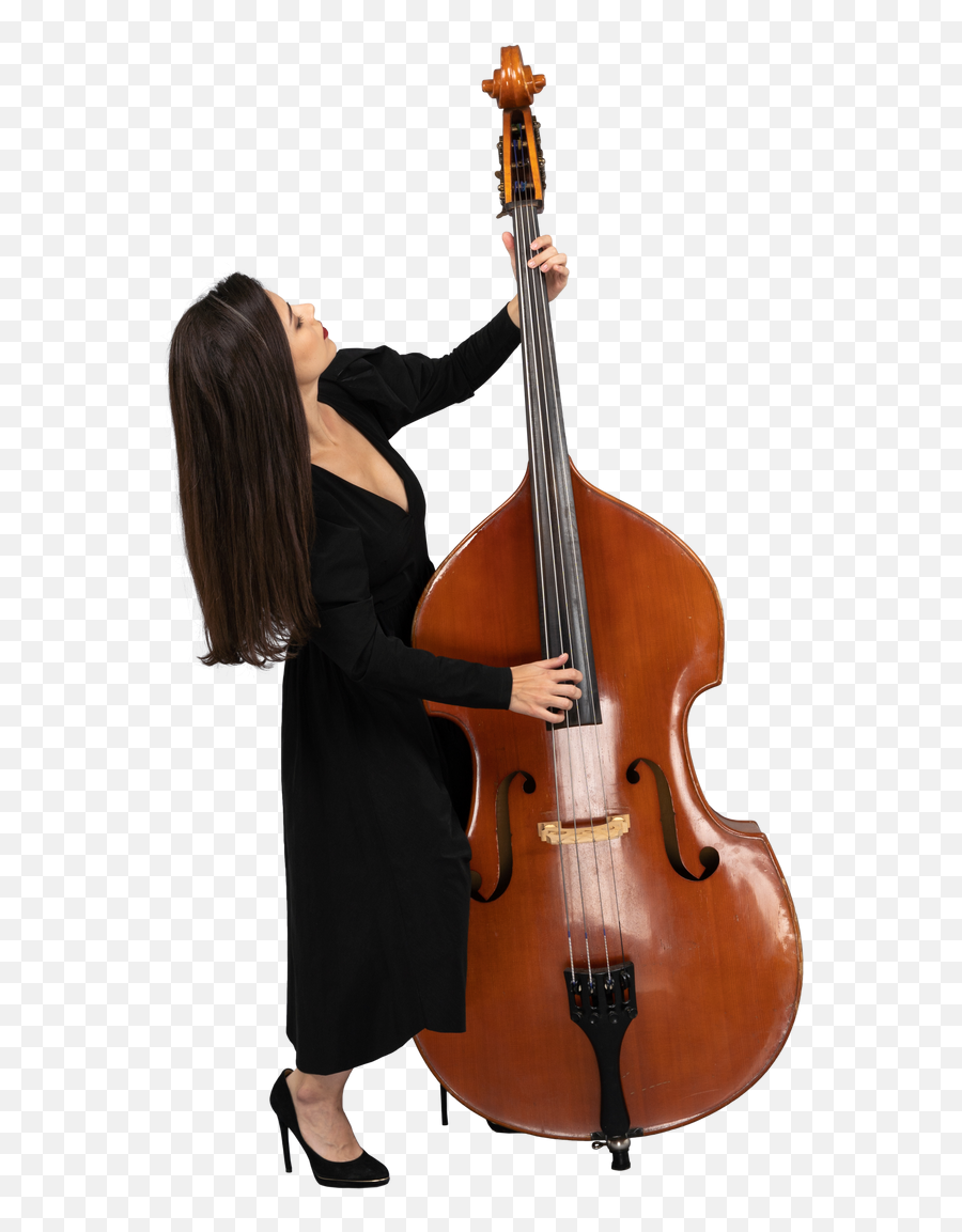 Full - Length Of A Young Female In Black Dress Playing The Emoji,Cello Emoji