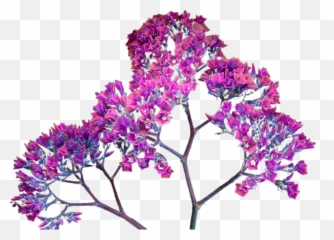 Discover Trending Surrealism Stickers Picsart Emoji,Flower Emojis Jacaranda