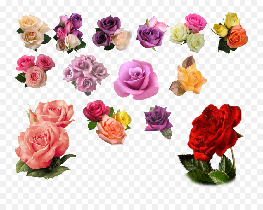 Free Pink Rose Transparent Background Download Free Clip - Colour Flowers Transparent Background Emoji,Pink Rose Emoji