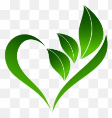 Enamórate De Tu Cuerpo - Green Flourish Emoji,Emoticon De Aspa