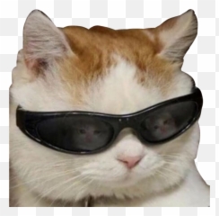 The Most Edited - Stickers De Gatos Cool Emoji,Emojis Gatitos