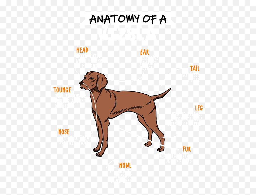 Anatomy Of A Vizsla Dog Fleece Blanket - Anatomy Of A Pug Emoji,Dog Dog Heart Emoji Puzzle