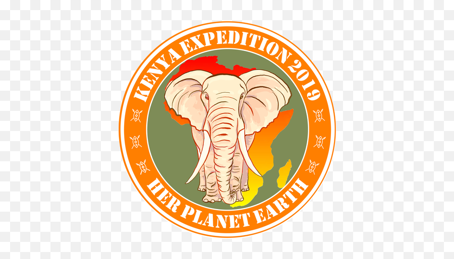 Her Planet Earthu0027 Team Embarks On Unchartered Terrain Across - Elephant Hyde Emoji,How To Put Emotion Stickers On A Tweet