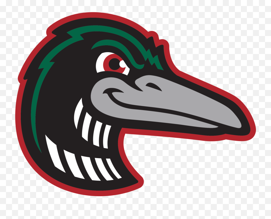 Great Lakes Loons Throw First No - Hitter In Franchise History Great Lakes Loons Logo Emoji,Emoticons For Bird Watchers