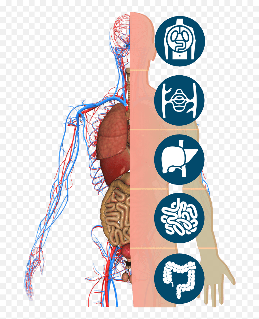 Essential Detox Comprehensive Holistic Detox Program - Language Emoji,Tavistock Cleanse Colon Emotions