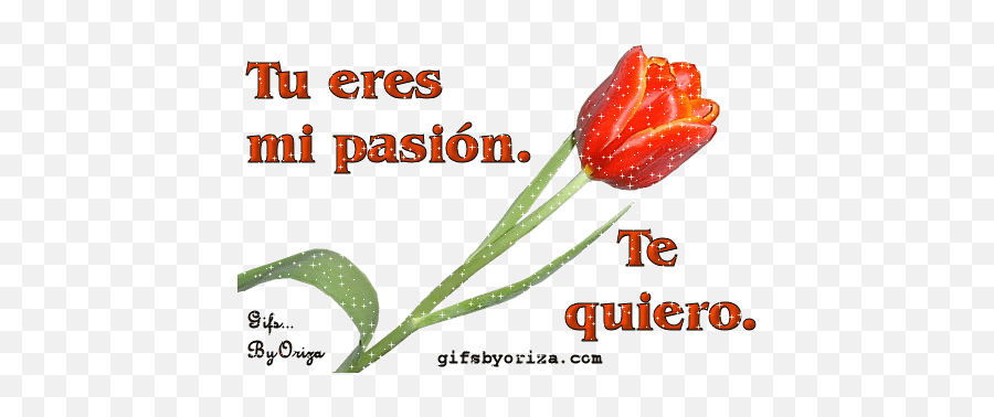 Eres Tan Especial Para Mi Gif - Te Quiero Mucho Con Tulipanes Emoji,Emoticon Palma Whatsapp Sol