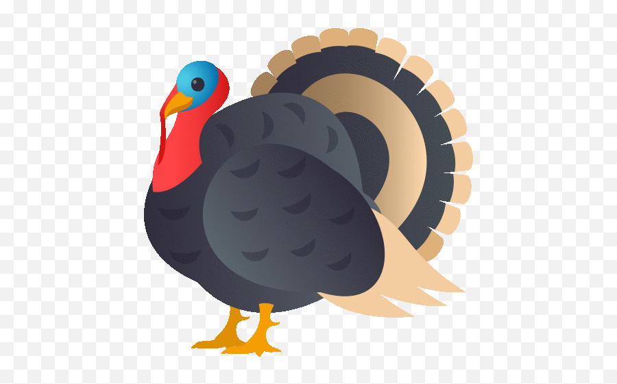 Turkey Nature Gif - Domestic Turkey Emoji,Turkey Emoji For Android