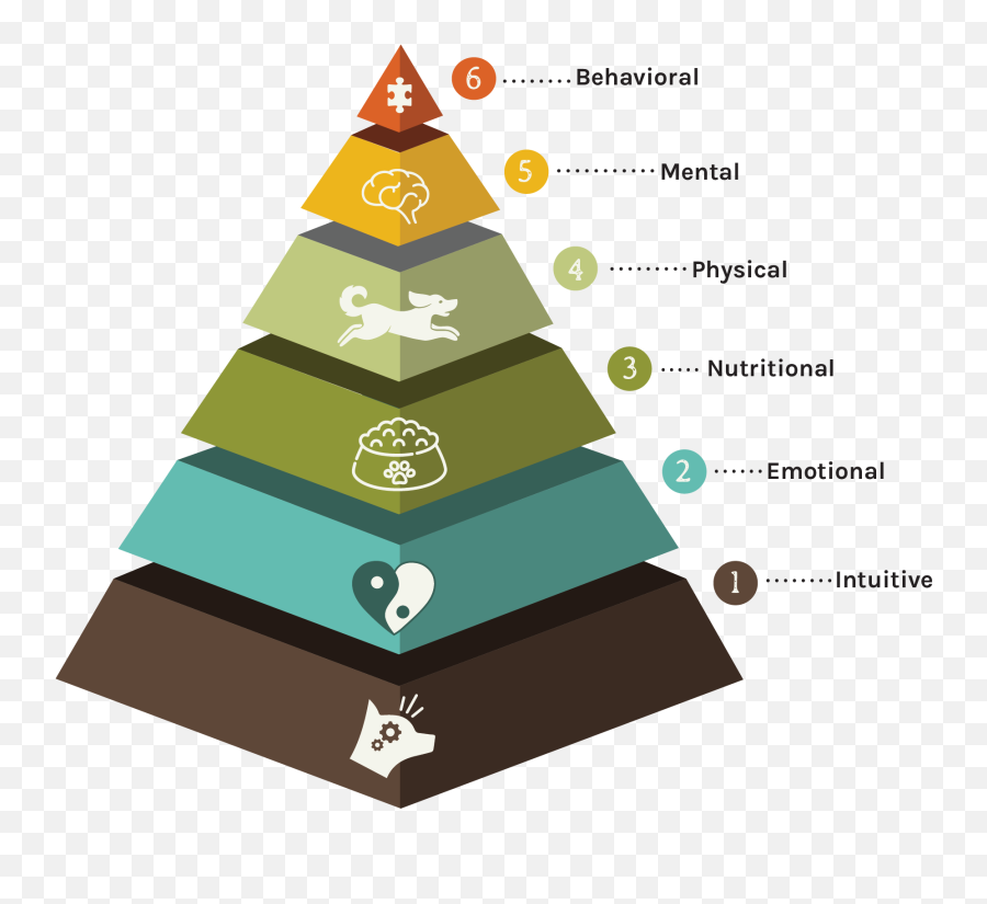 Canine Wellness U0026 Meeting Their Needs Doglando Emoji,Situation And Emotion Pyramid