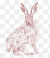 Proud To Present A Rural Inspired Brand For Ella Jenkins Emoji,Hare Emotion