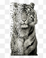 Fanartofkai Sticker - Quadro Decorativo O Tigre Mosaico Vertical 3 Peças Em Tecido Emoji,Kylie Jenner Tiger Emoji