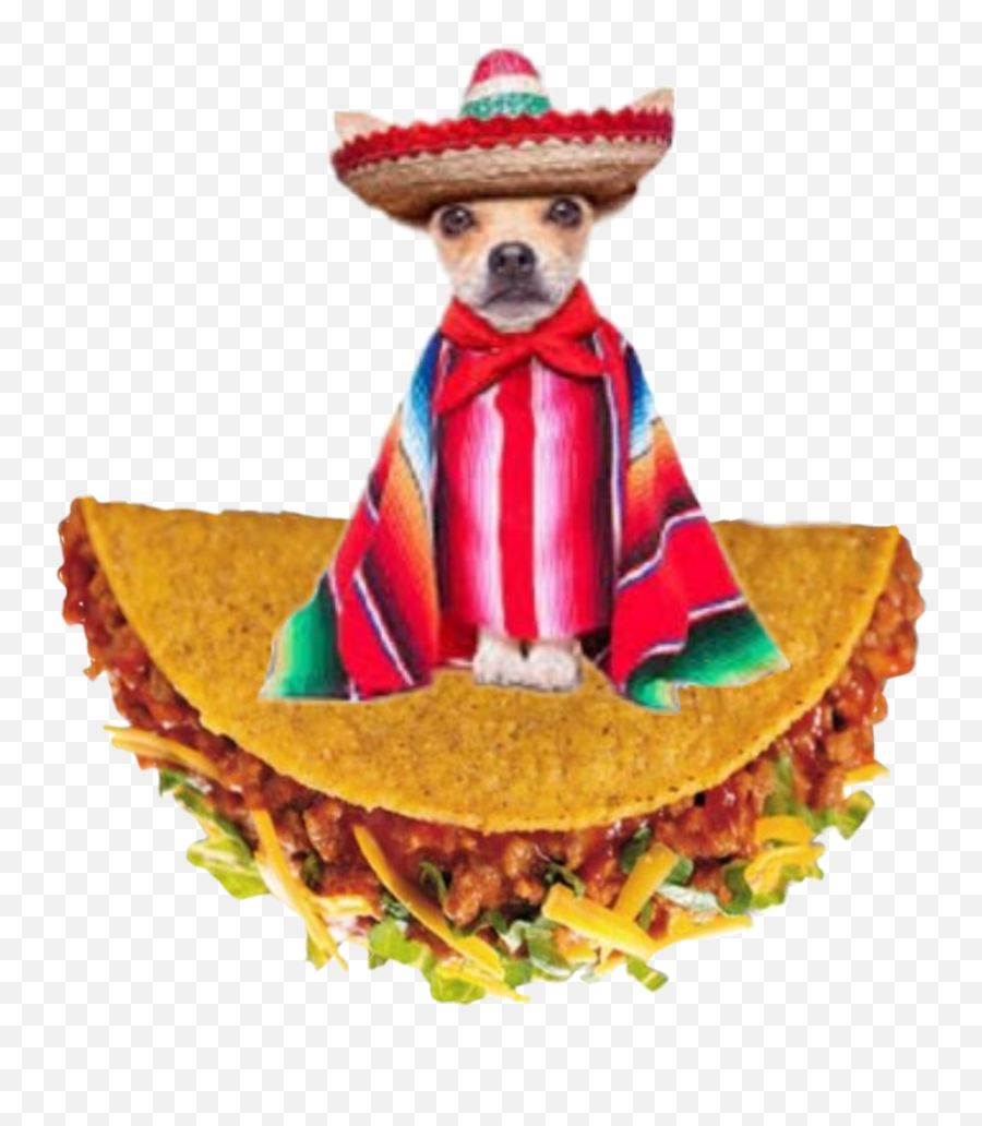 Chihuahua Dog - Dog Clothes Emoji,Taco Emoji Hat