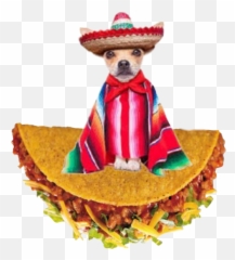 Chihuahua Dog - Dog Clothes Emoji,Taco Emoji Hat