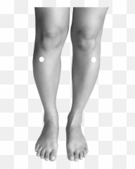 Point Dacupression E36 36 - Point D Acupuncture E36 Emoji,Meridien Vessie Emotion