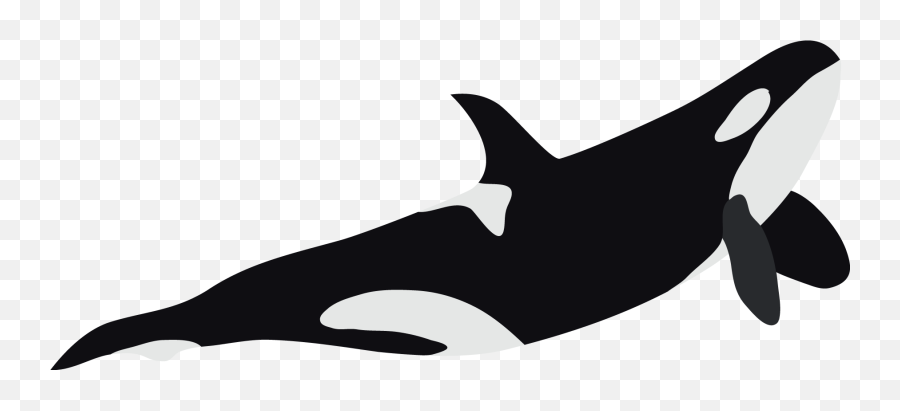 Common Dolphins Emoji,Orcas Brain Emotions