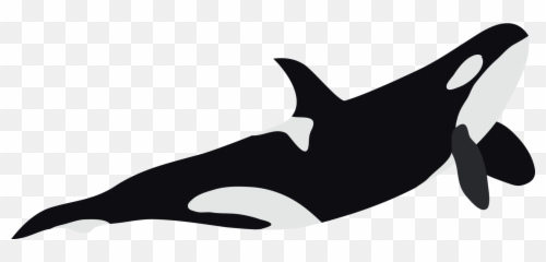 Common Dolphins Emoji,Orcas Brain Emotions