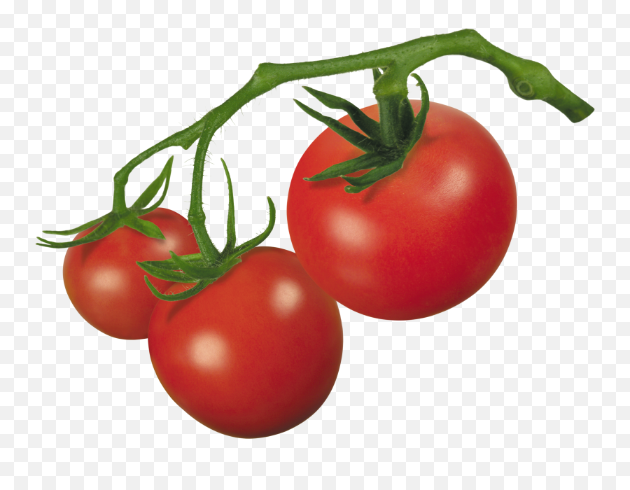 Free Vegetable Transparent Download Free Clip Art Free - Draw A Tomato Vine Emoji,Fruit Vegetable Emojis No Background