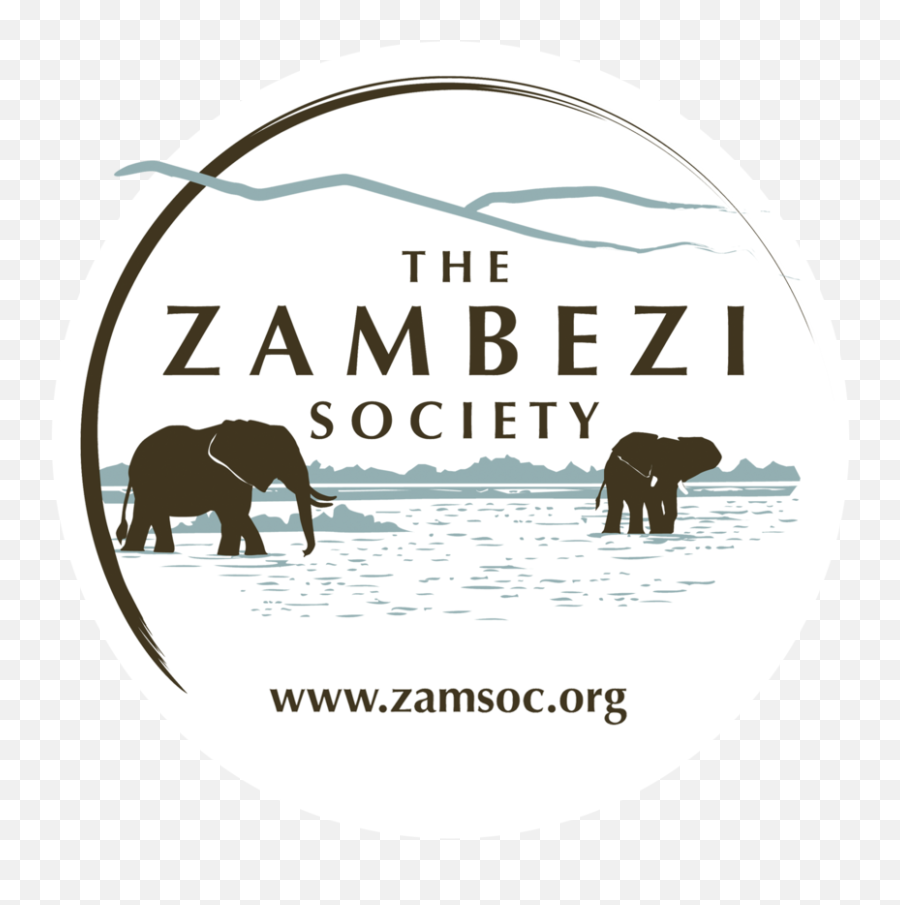 Charara Wildlife Recovery Project - Zamsoc Makes Inroads Emoji,Elephant Touching Dead Elephant Emotion