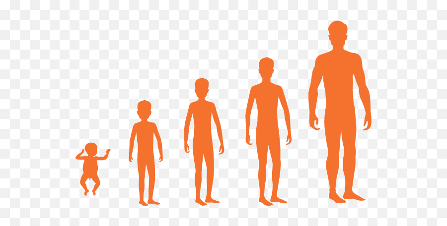 Internal U0026 External Changes In Human Body Healthyfii - Standing Emoji,Emotion Meter