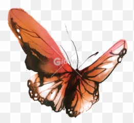 Most Viewed This Year - Watercolor Butterflies Tattoo Emoji,Bobunny Emoji