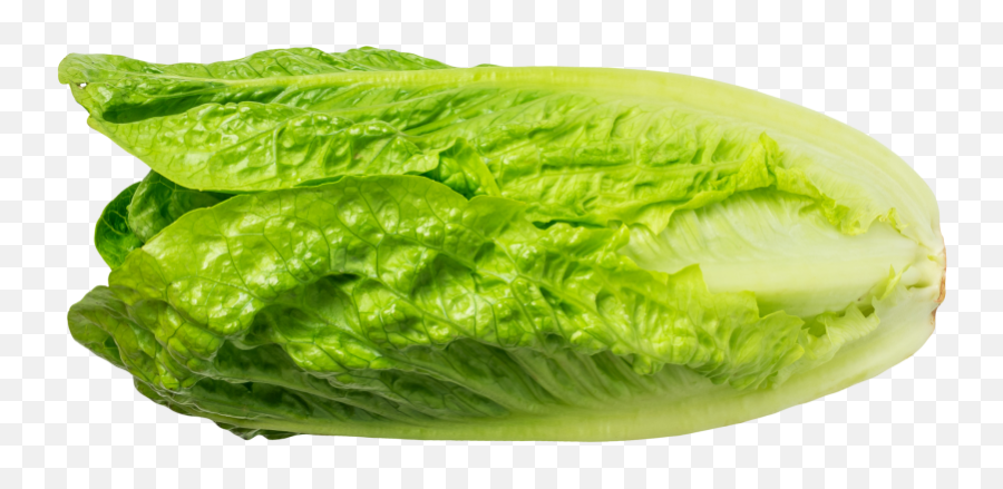 Free Lettuce Leaf Png Download Free - Superfood Emoji,Lettuce Emoji