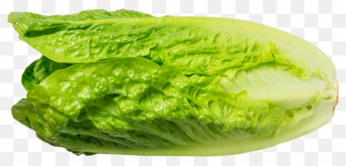 Free Lettuce Leaf Png Download Free - Superfood Emoji,Lettuce Emoji
