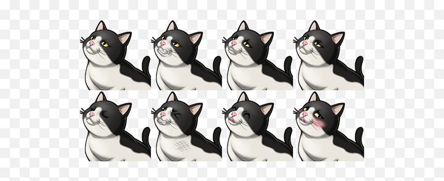 Mv Cat Face Emotion Set - Domestic Cat Emoji,Cats Emotions