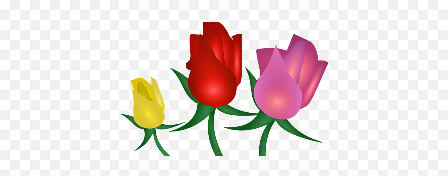 100 Free Rose Bud U0026 Bud Illustrations Emoji,Emoji Flower Rose