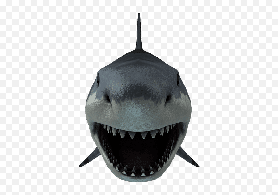 Designer Candies U2013 Canva Emoji,Shark Emoji Mix