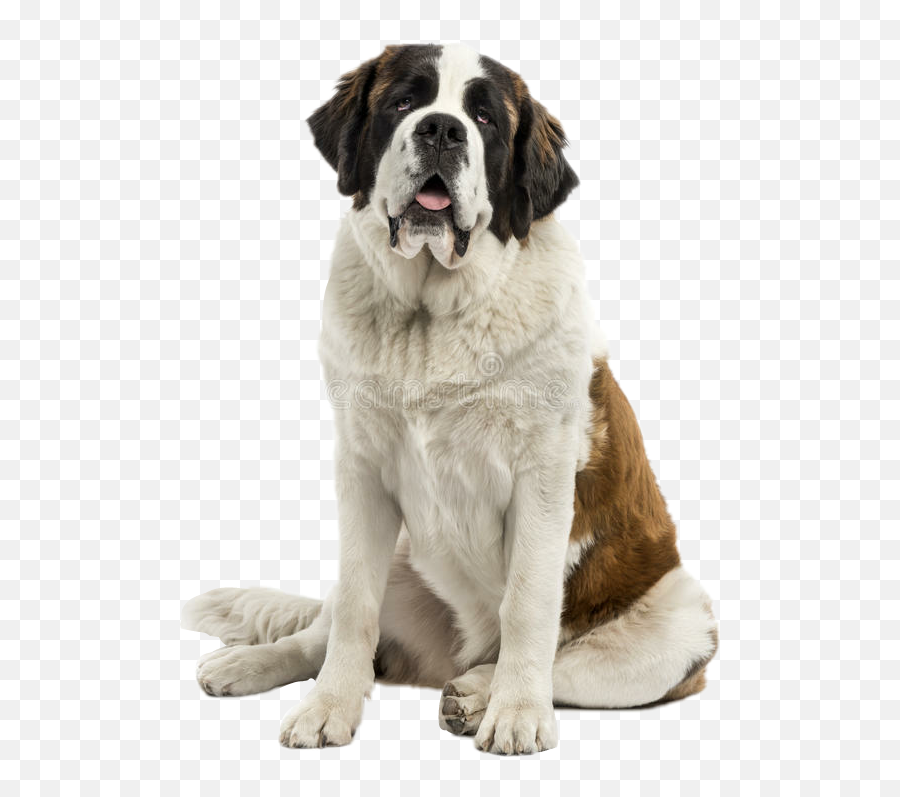 Detroit Sticker - Saint Bernard Emoji,Bernard Emoji