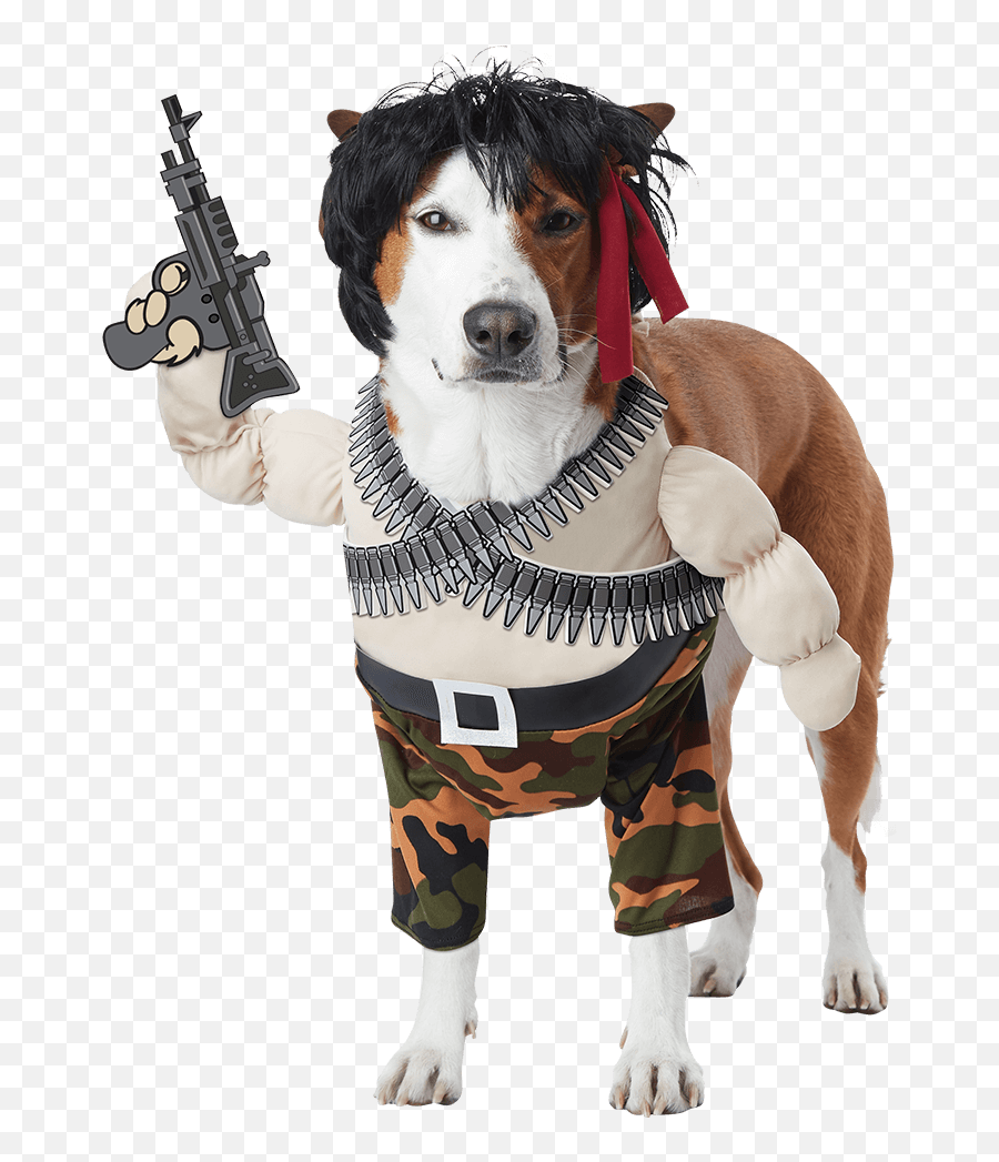 Turkey Army Funny - Funny Dog Costumes Emoji,Emoji Costume Ebay