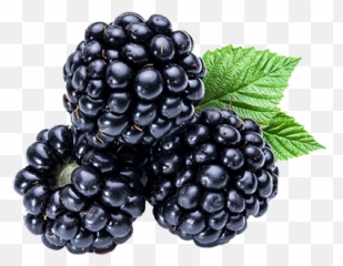 Download Kiss Purple - Blackberry Fruit Emoji,Kiss Emoticon Blackberry