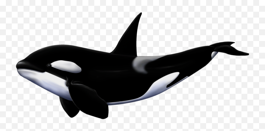 Killer Whale Whale Whales Orca - De Killer Whale Hungry Shark World Emoji,Orcas Brain Emotions