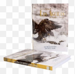 European Raptors - Sea Eagle Emoji,The Emotions Of Eagles