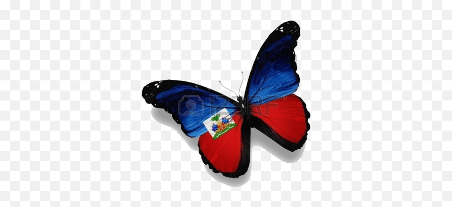 Mwen Kadanse Ki Moun Mwen Ye Pou Konkèt Tèt Mwen Tilarenn Solèy - Marshall Island Flag Butterfly Emoji,Je Suis Fache Emoticon