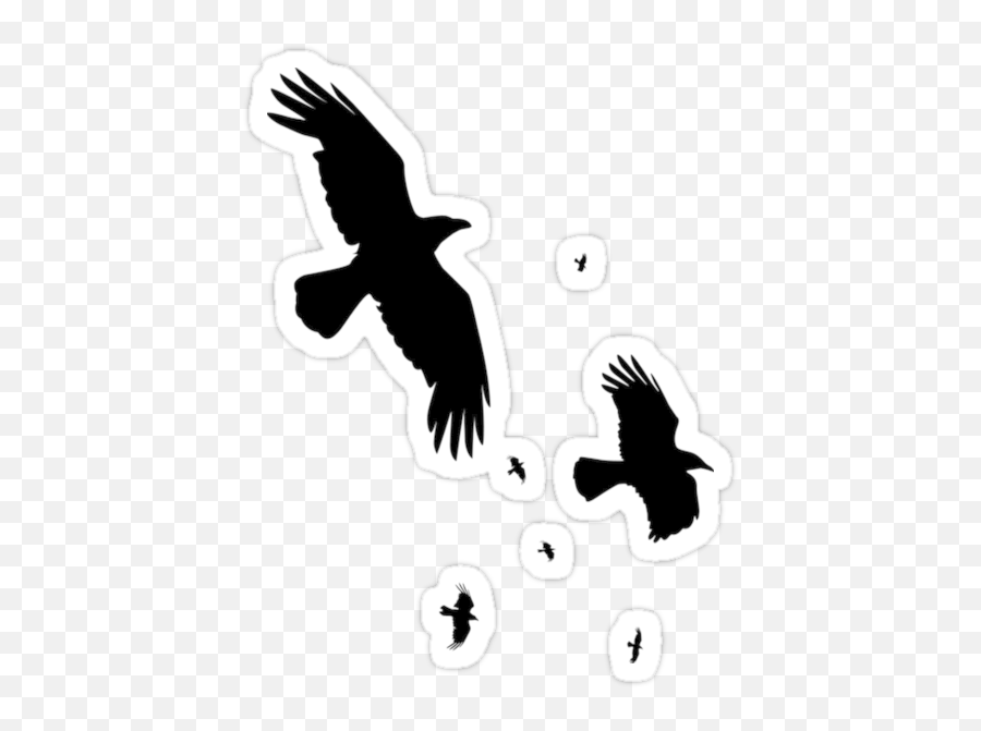 Got The Gift Redbubble Sales 5813 - 11813 Transparent Transparent Background Png Raven Silhouette Emoji,Emotion Creators Cards Illusion