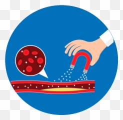 Heavy Metal Detox Protocol - Our Lady Of Lourdes Elliot Lake Emoji,Heavy Metal Emoticon