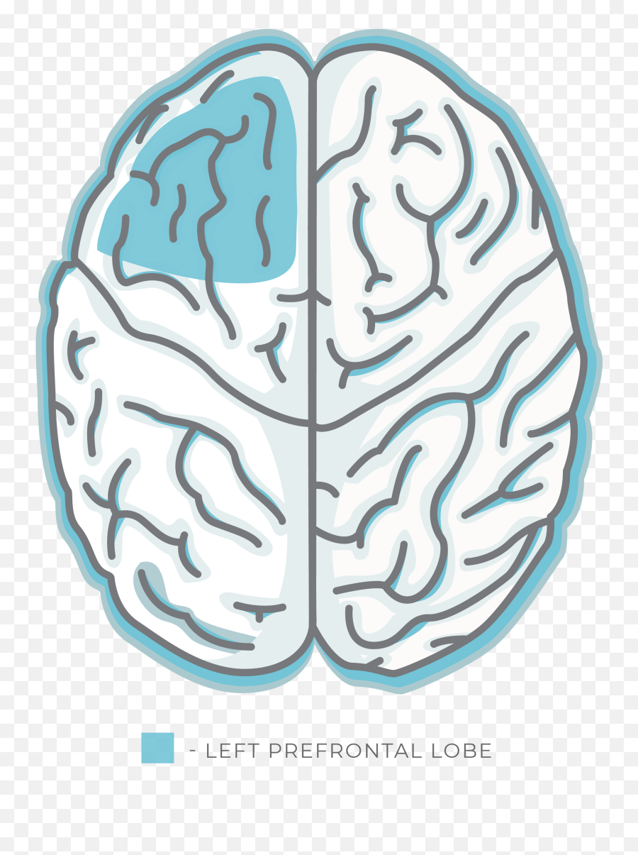 Tms - Left Prefrontal Cortex Sugar Emoji,Frontal Lobe Emotion