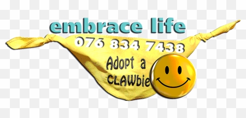 Adoptions Adoptions - Positive Thinking Emoji,Gold Star Emoticon
