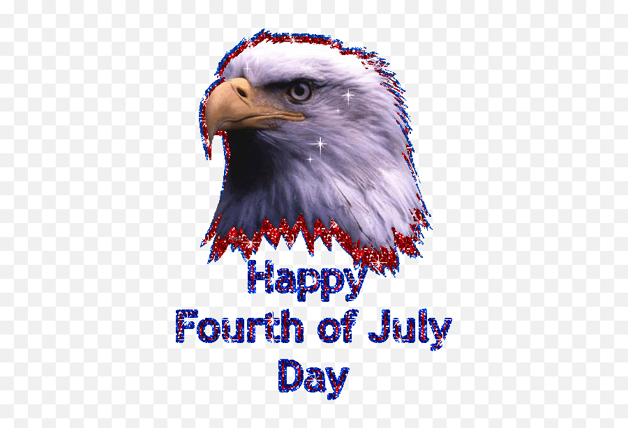 Seasonal Graphic - 4th Of July Gif Eagle Emoji,4th Of July Fireworks Emoji